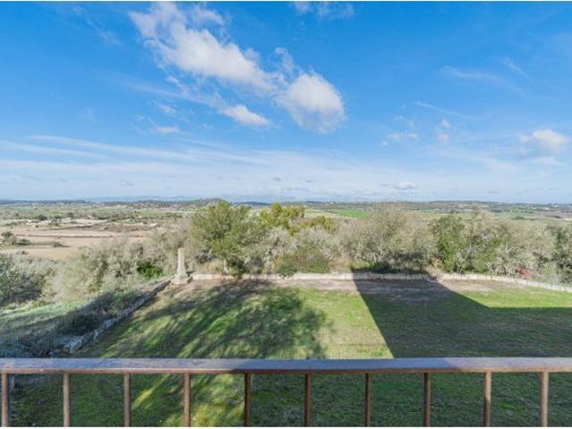 Local Comercial en venta en ses Cases Noves, Pla de Mallorca