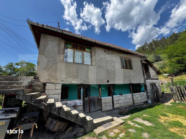 Casă vânzări în Poiana Ampoiului