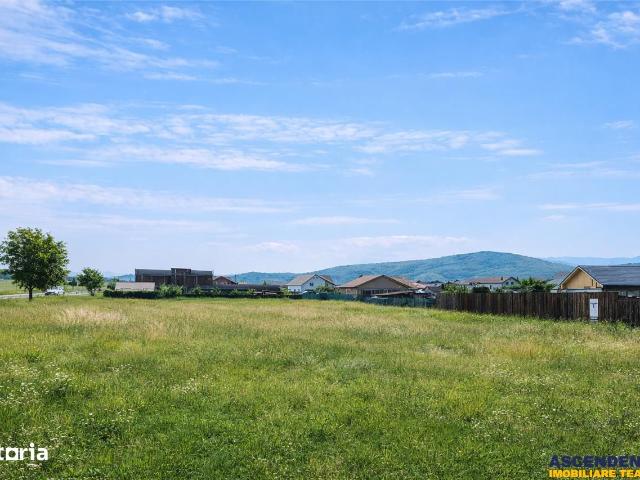 Casă vânzări