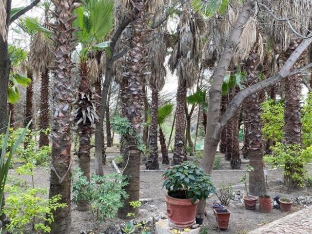 Rancho en venta en San Miguel De Allende, Guanajuato