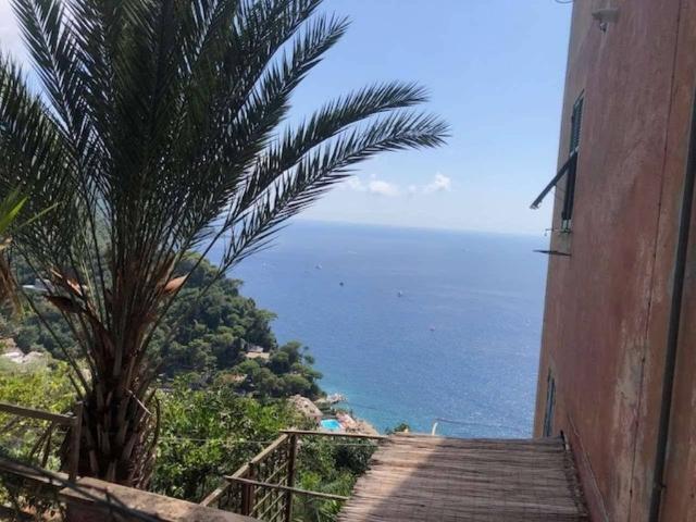Villa Indipendente in vendita a Il Boschetto, Camogli