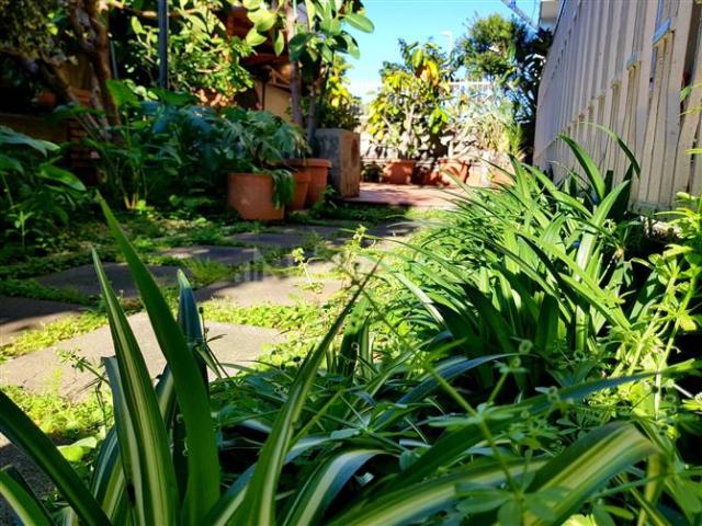 Casa in vendita a Monte Po-Nesima-San Leone-Rapisardi, Catania