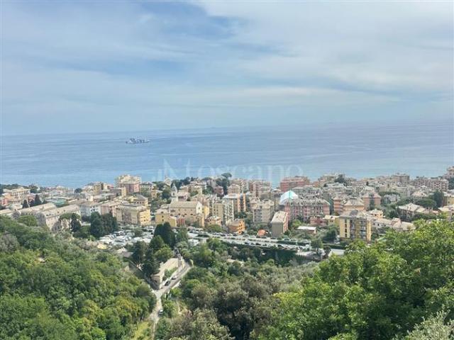 Casa in affitto a Levante, Serra Riccò