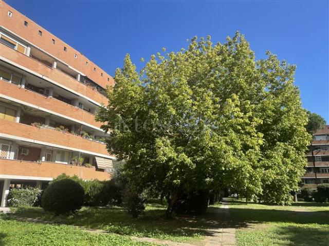 Casa in vendita a Municipio Roma IX, Roma Capitale