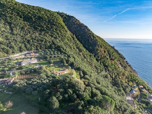 Villa Indipendente in vendita a Lemeglio, Moneglia