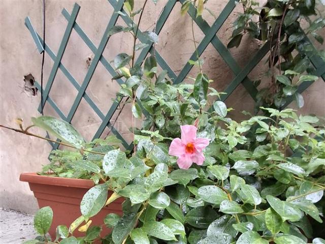 Casa in vendita a Risveglio, Genova