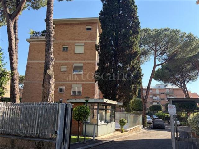 Casa in affitto a Municipio Roma XIV, Roma Capitale