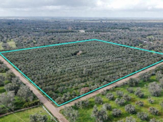 Terreno in vendita a Puglia, Brindisi