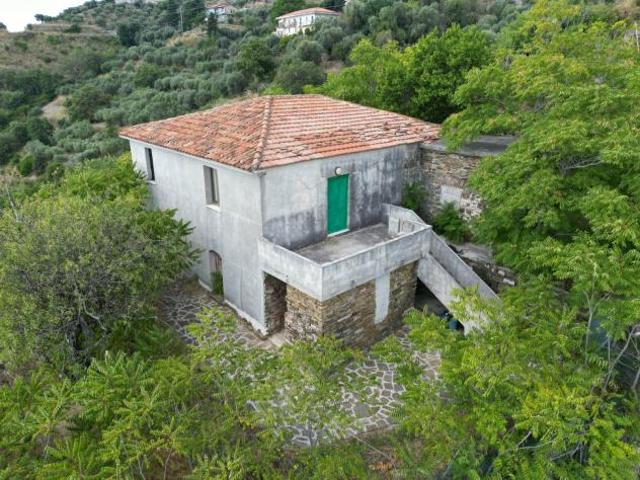 Terreno in vendita a Perdifumo, Campania