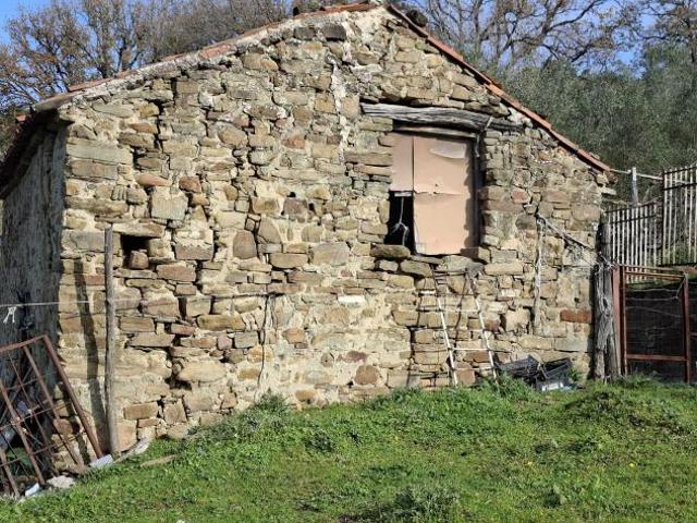 Terreno in vendita a Laureana Cilento, Campania