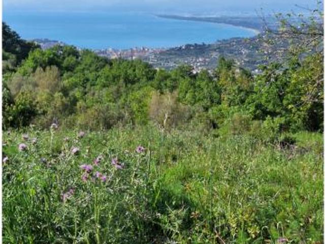 Terreno in vendita a Laureana Cilento, Campania