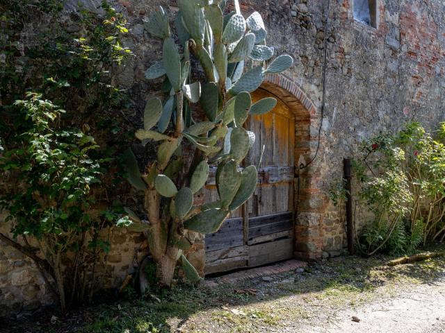 Rustico in vendita a Tofori, Capannori