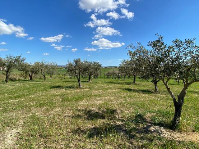 Rustico in vendita a Ispica, Sicilia