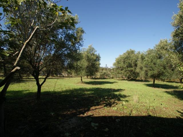 Rustico in vendita a Calabria, Vibo Valentia