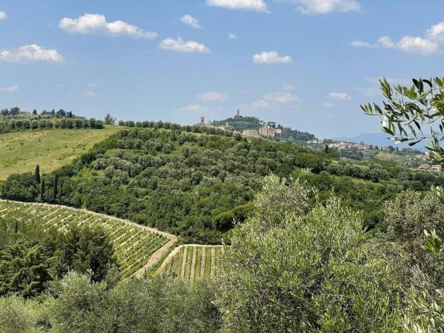 Rustico in vendita a La Scala, San Miniato