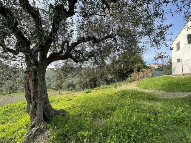 Rustico in vendita a Marche, Ancona