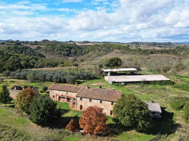Rustico in vendita a Asciano
