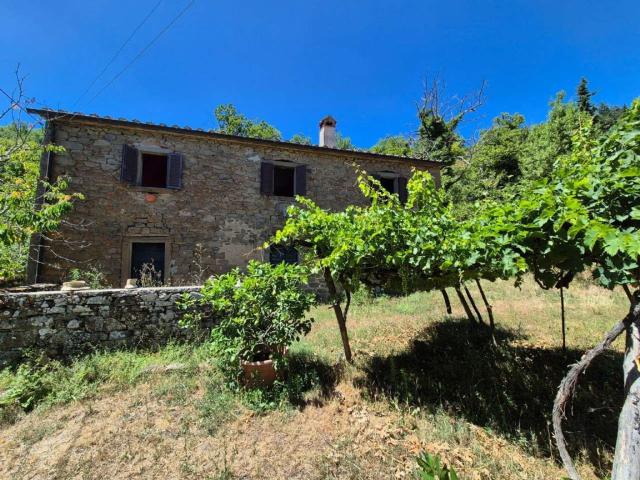 Rustico in vendita a Cortona, Toscana