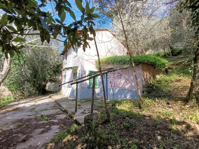 Rustico in vendita a Tonfano, Toscana