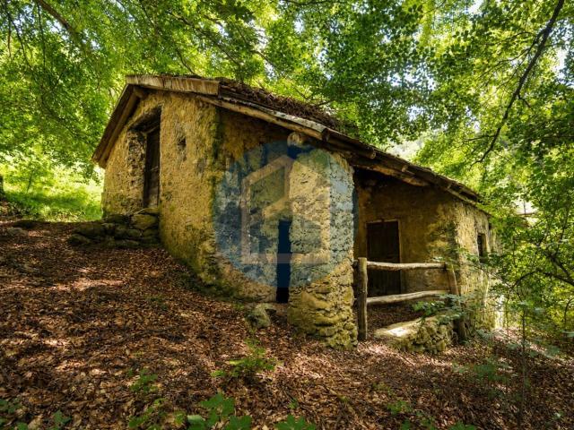 Rustico in vendita a Comunità montana della valle Camonica, Lozio