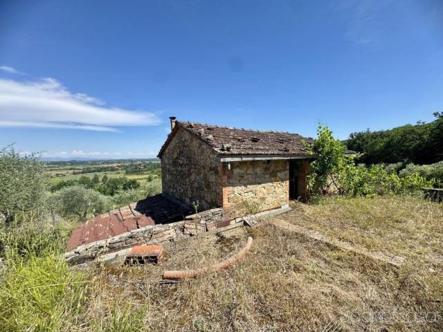 Rustico in vendita a Farnetella, Sinalunga