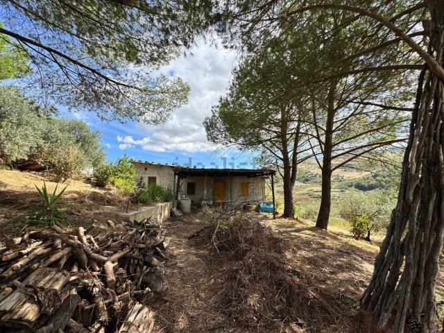 Rustico in vendita a Caccamo, Sicilia