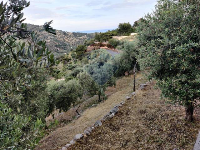 Rustico in vendita a Puglia, Foggia