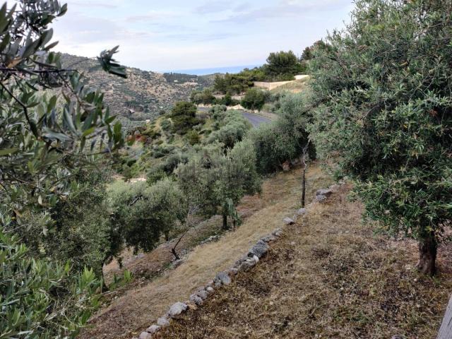 Rustico in vendita a Mattinata, Foggia