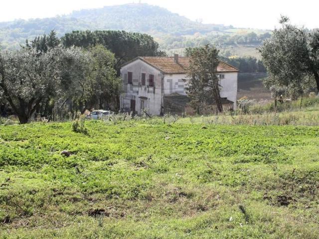 Rustico in vendita a Magliano In Toscana, Toscana