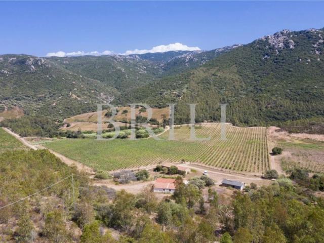 Rustico in vendita a Trinità d'Agultu e Vignola, Sardigna/Sardegna