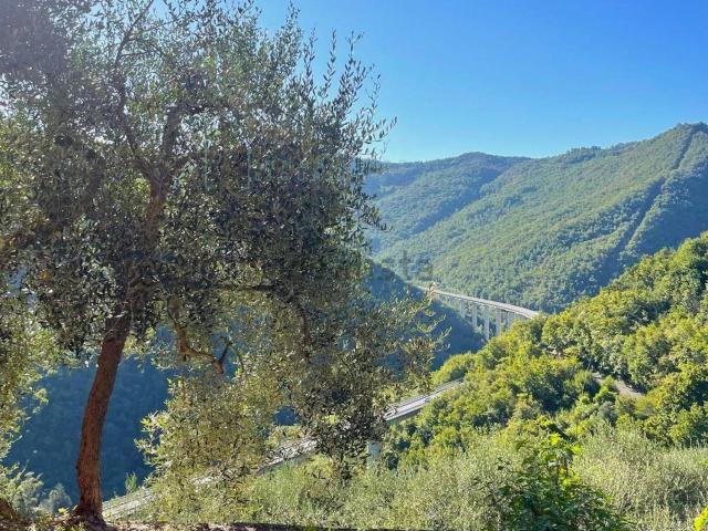 Rustico in vendita a Pieve Di Teco, Liguria