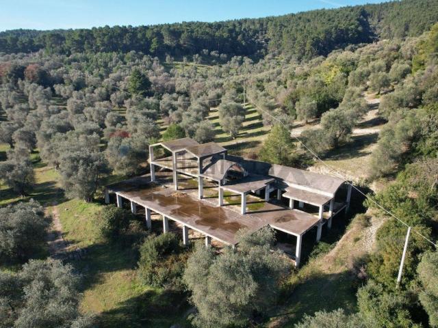 Rustico in vendita a Puglia, Foggia