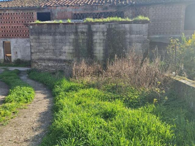 Rustico in vendita a Paganico, Capannori