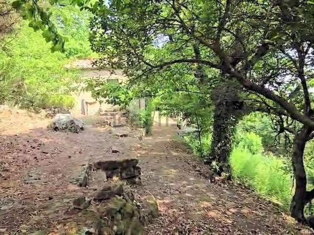 Rustico in vendita a Le Coste, Roccastrada