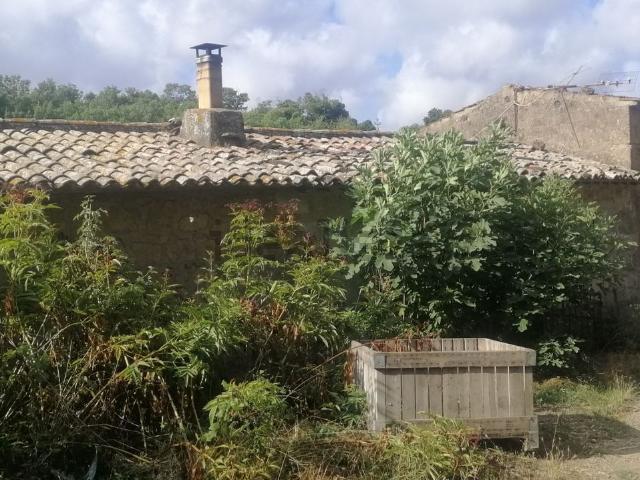 Rustico in vendita a Unione di Comuni Montani Colline del Fiora, Pitigliano
