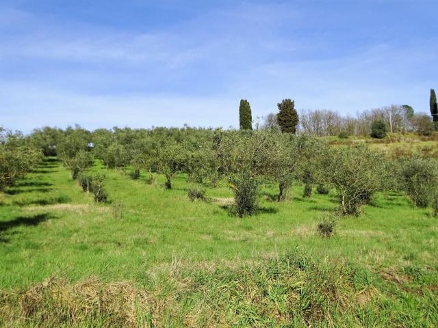 Rustico in vendita a San Miniato, Toscana