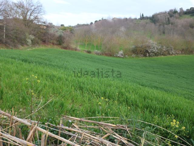 Rustico in vendita a Marche, Fermo