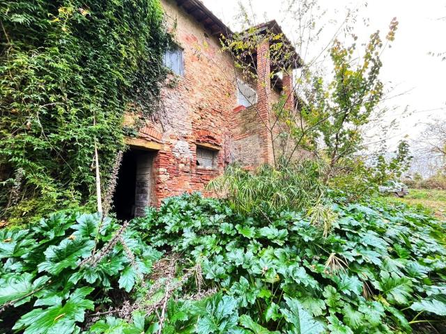 Rustico in vendita a Certaldo, Firenze