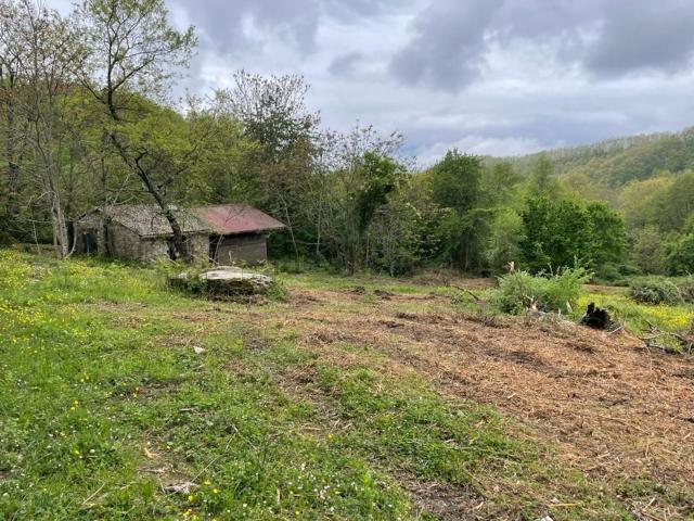 Rustico in vendita a Unione di comuni Montana Lunigiana, Bagnone