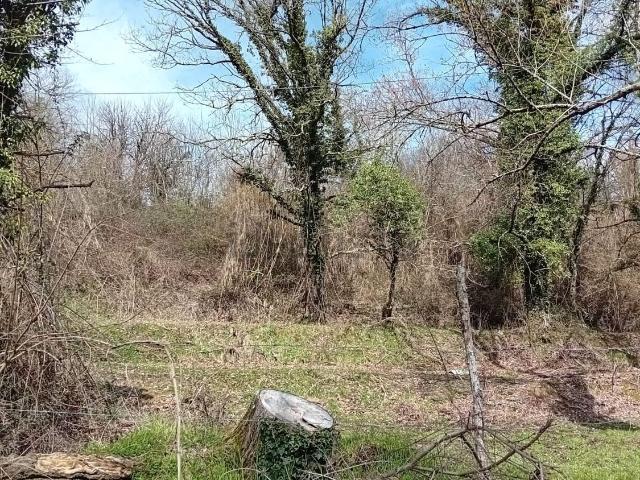 Rustico in vendita a Unione di comuni Montana Lunigiana, Bagnone