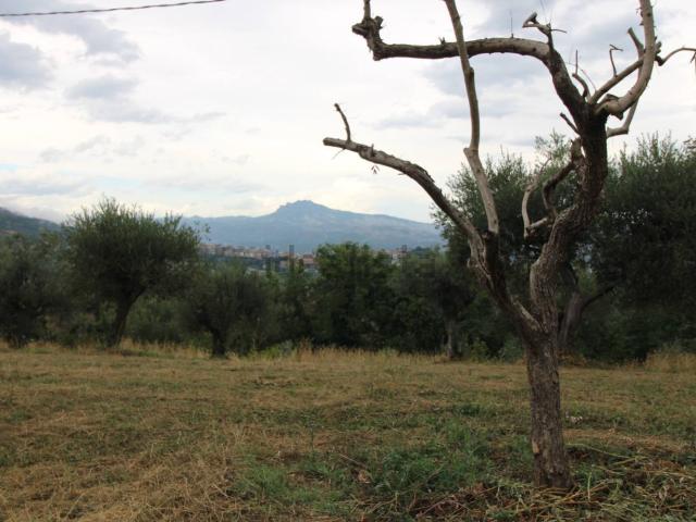 Rustico in vendita a Piane di Morro, Folignano
