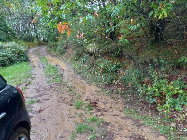 Rustico in vendita a Tofori, Capannori