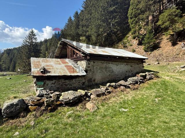 Rustico in vendita a Comunità della Valle di Sole, Pejo