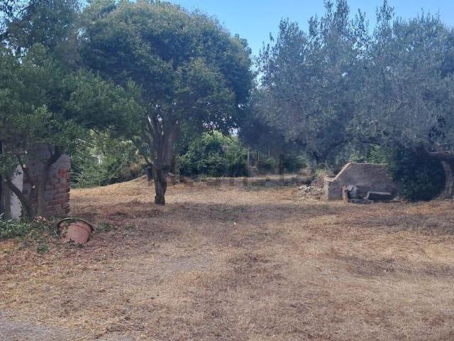 Rustico in vendita a Roma Capitale, Lazio