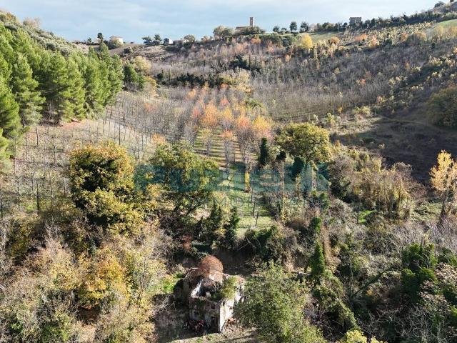Rustico in vendita a Marche, Fermo