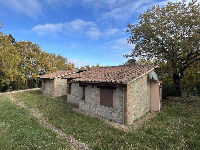 Rustico in vendita a San Venanzo, Umbria