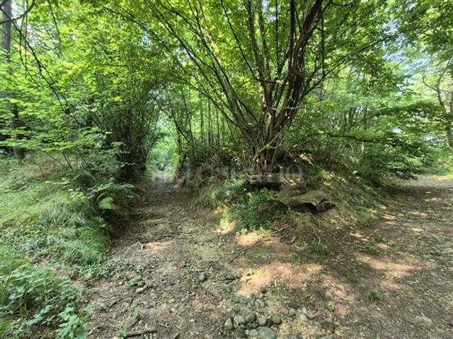 Rustico in vendita a Cabiate, Lombardia