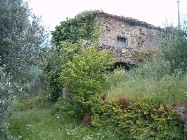 Rustico in vendita a San Mauro Cilento, Campania