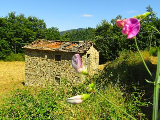 Rustico in vendita a Pratovecchio Stia, Stia