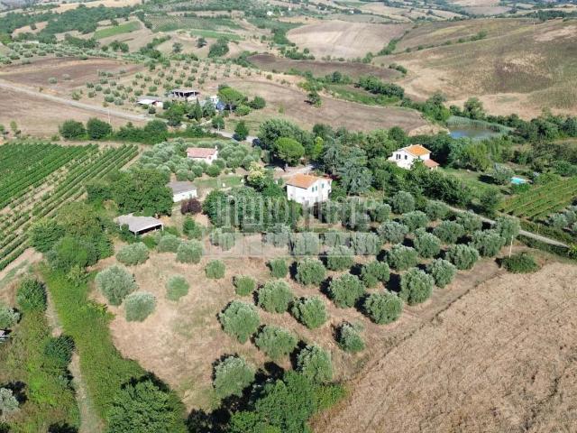 Rustico in vendita a Unione di Comuni Montani Colline del Fiora, Manciano